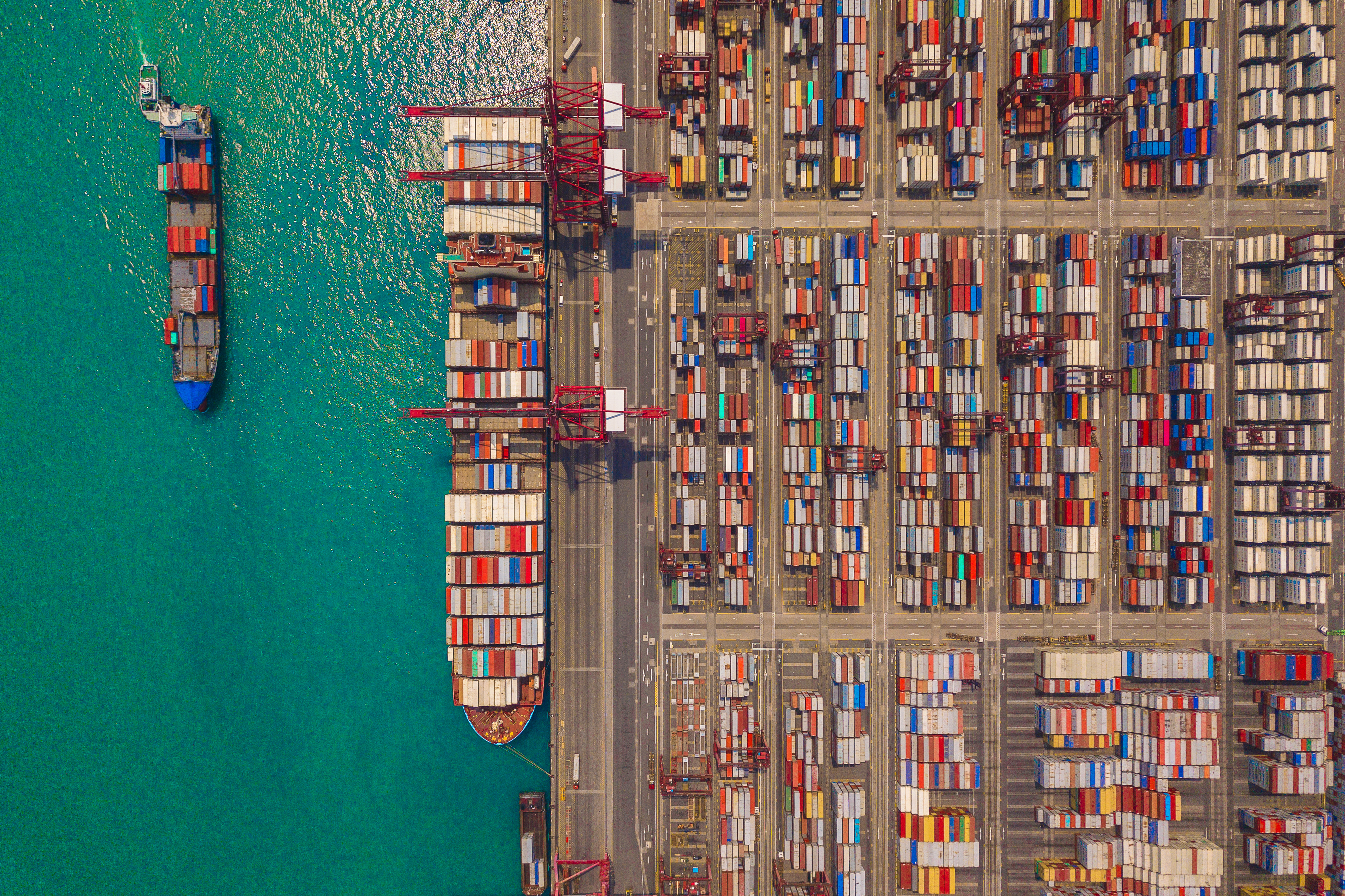 航運巨頭MSC宣布：停航！